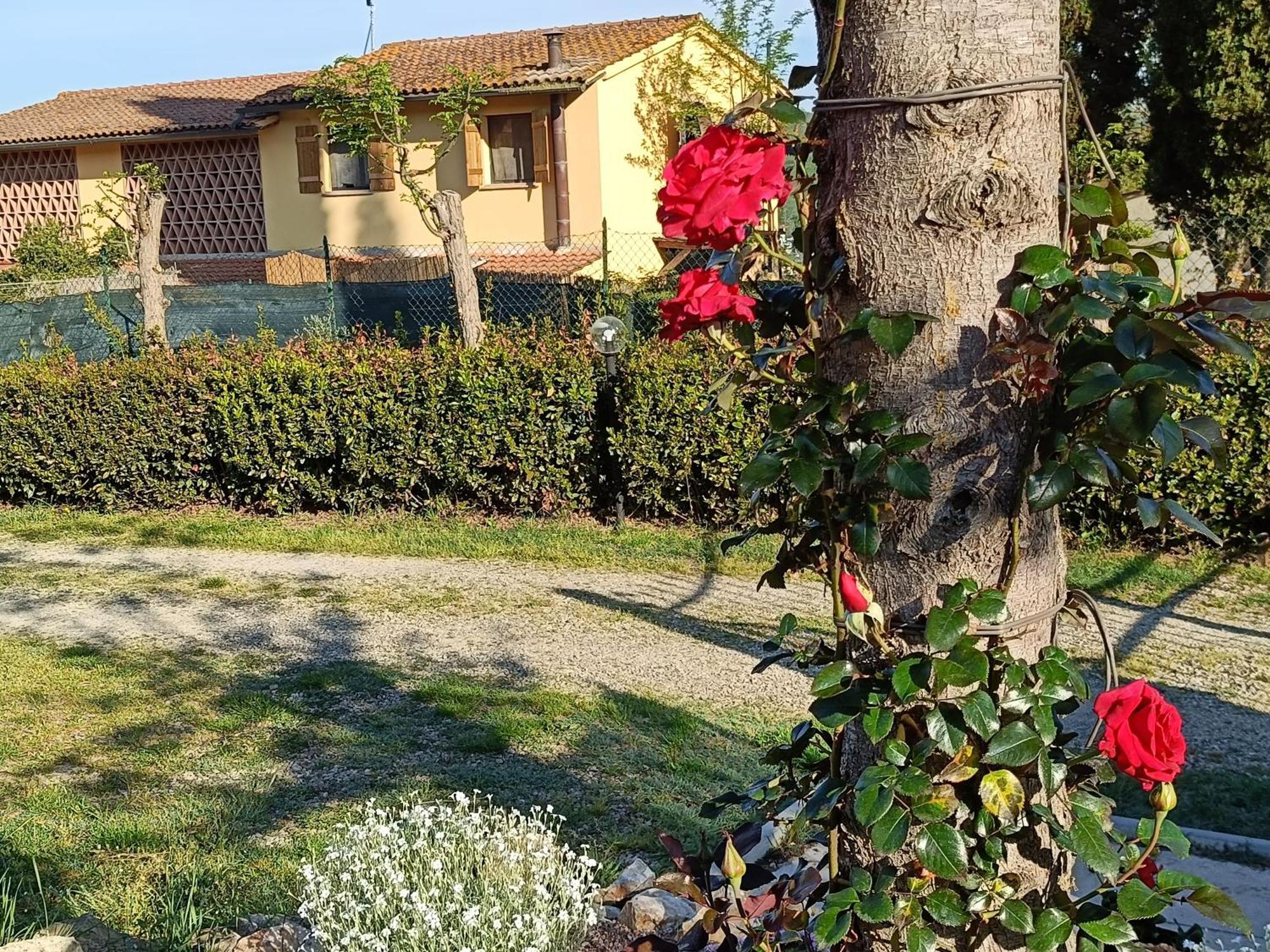 Casa Orneto Villa Poggibonsi Buitenkant foto