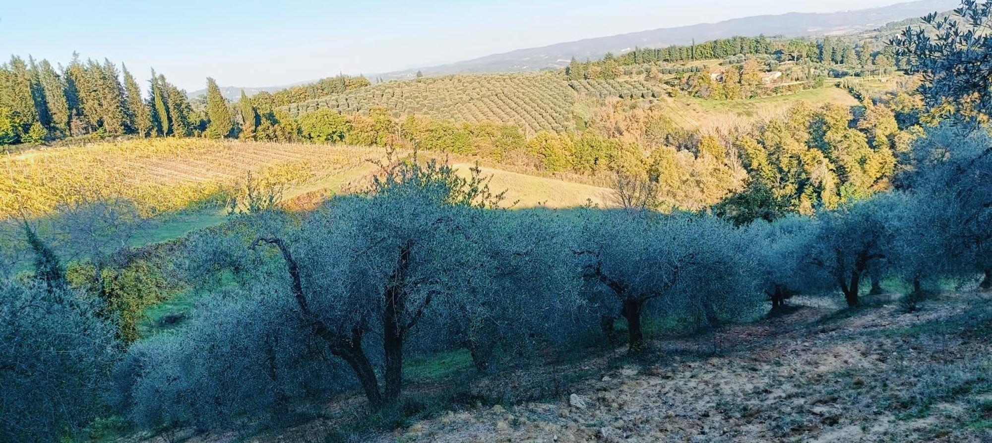 Casa Orneto Villa Poggibonsi Buitenkant foto