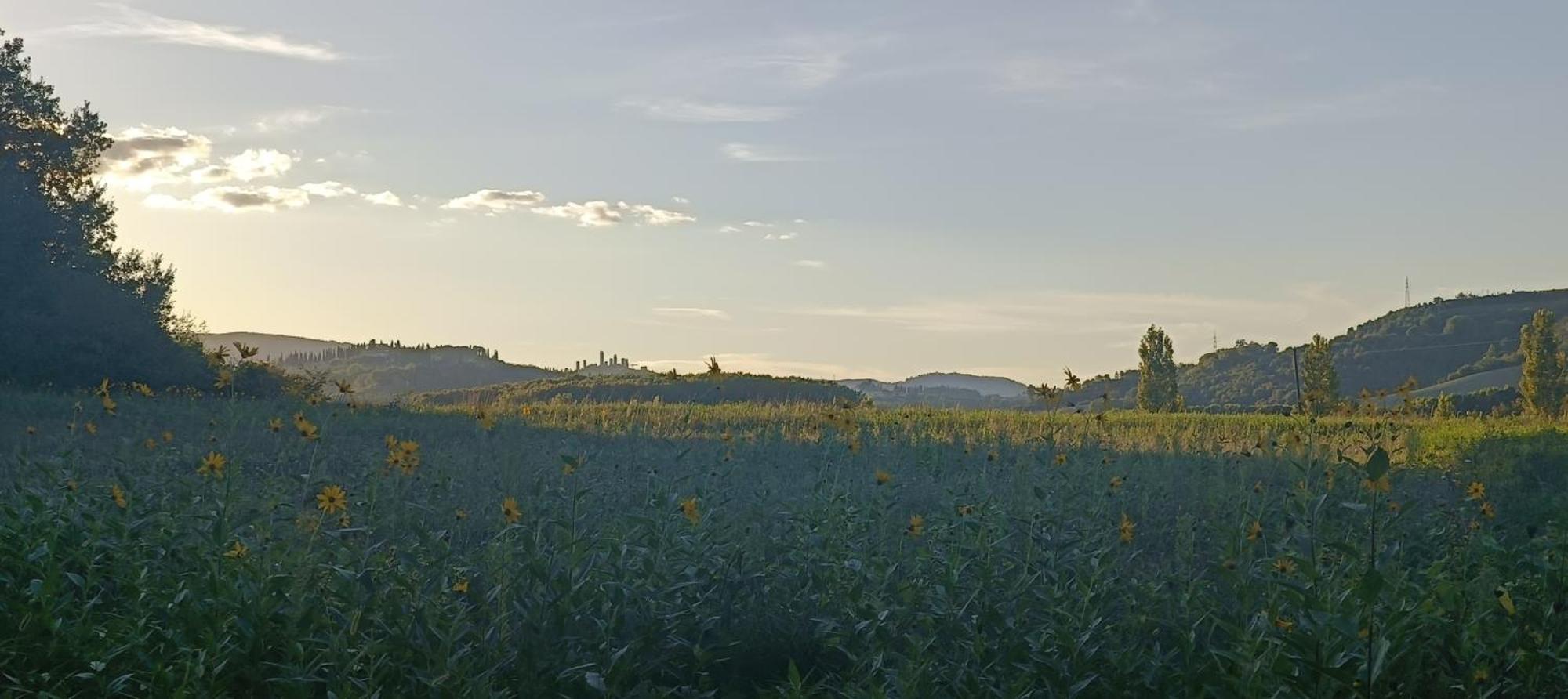 Casa Orneto Villa Poggibonsi Buitenkant foto