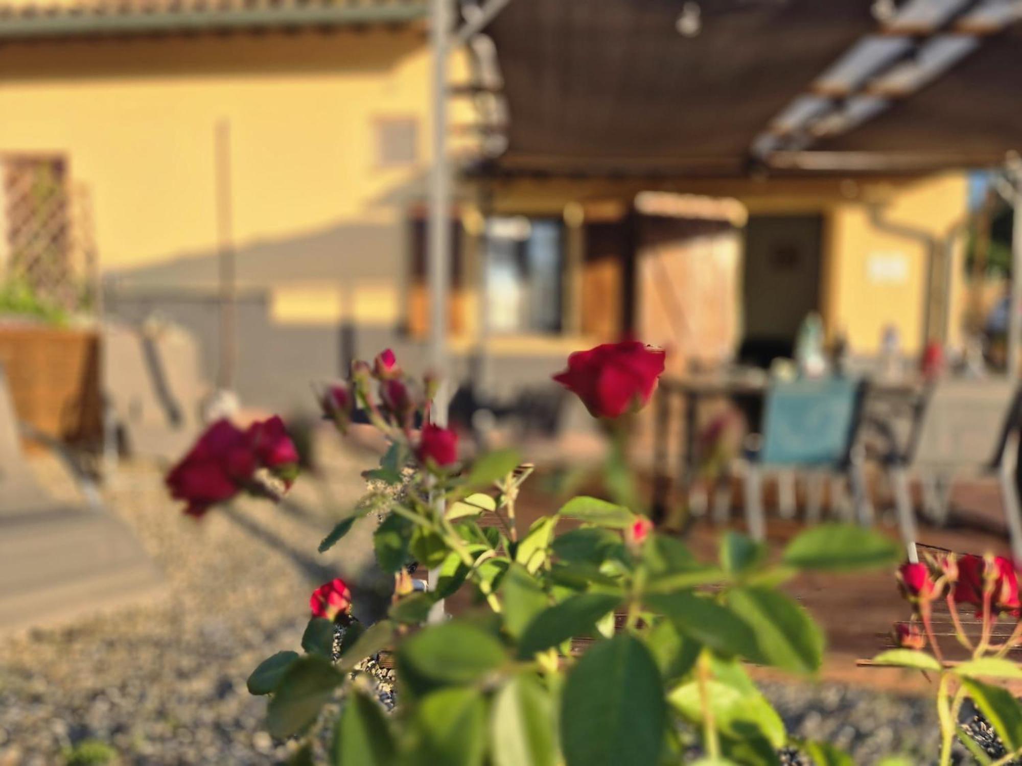 Casa Orneto Villa Poggibonsi Buitenkant foto